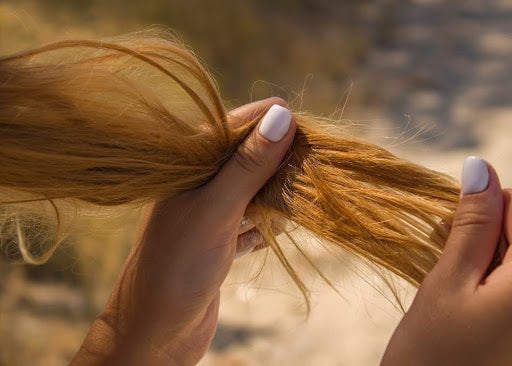 Hands holding strands of dry, damaged hair outdoors in natural light.